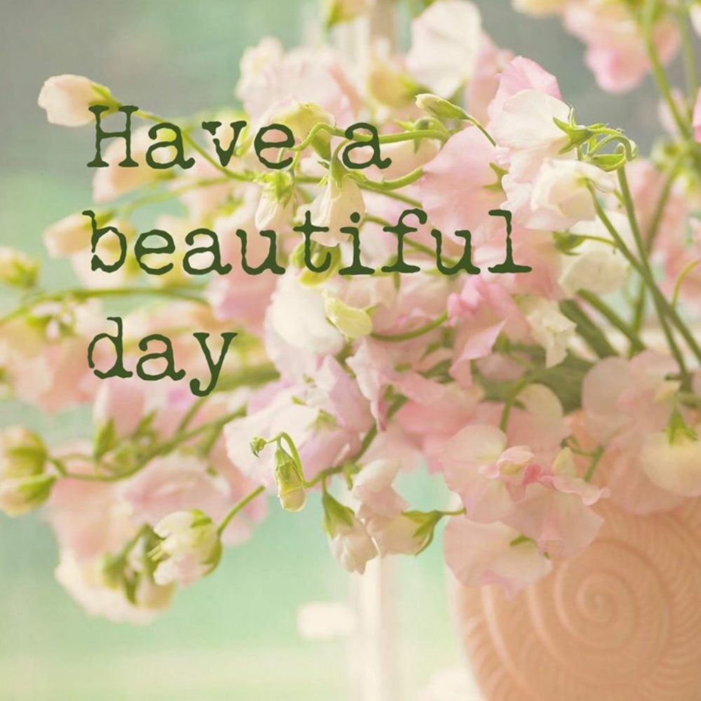 Happy Shopping!